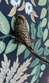 Brass Budgie Cabinet Pull/Gold Brass Budgerigar Door Handle/Bird shaped drawer handle/gold furniture hardware/Parrot Cabinet Door Knob