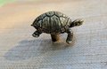 Gold or Bronze Tortoise drawer handle/Brass Tortoise door knob/Tortoise cabinet pull/Brass furniture hardware/Animal shaped drawer knob