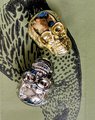 Gold or silver skull drawer handle/Skull shaped drawer pull/Gothic cabinet handle/Skull door knob/Halloween furniture hardware/Gothic core