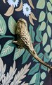 Brass Budgie Cabinet Pull/Gold Brass Budgerigar Door Handle/Bird shaped drawer handle/gold furniture hardware/Parrot Cabinet Door Knob