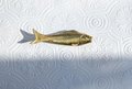 gold brass fish design Cabinet Pulls/koi carp drawer handle/gold fish Door Handle/home improvement/metal cabinet handle/gold drawer pull