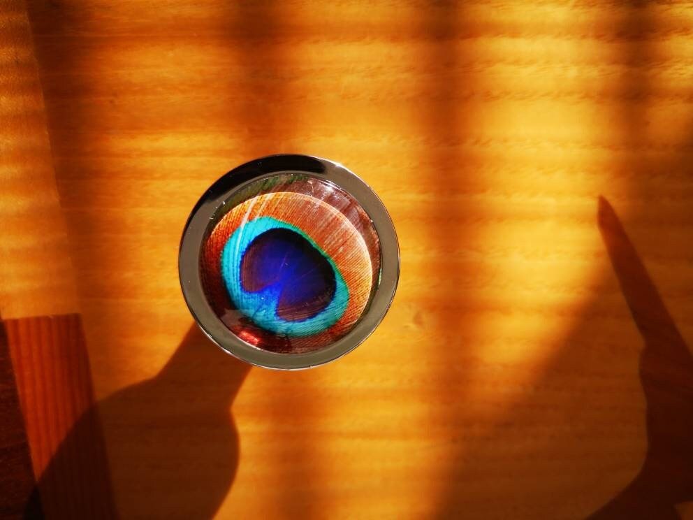 Peacock Eye glass cabochon and silver drawer pull cabinet handle door knob furniture hardware feather