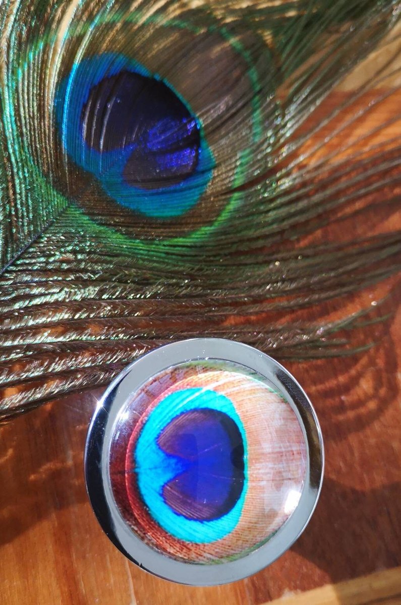 Peacock Eye glass cabochon and silver drawer pull cabinet handle door knob furniture hardware feather