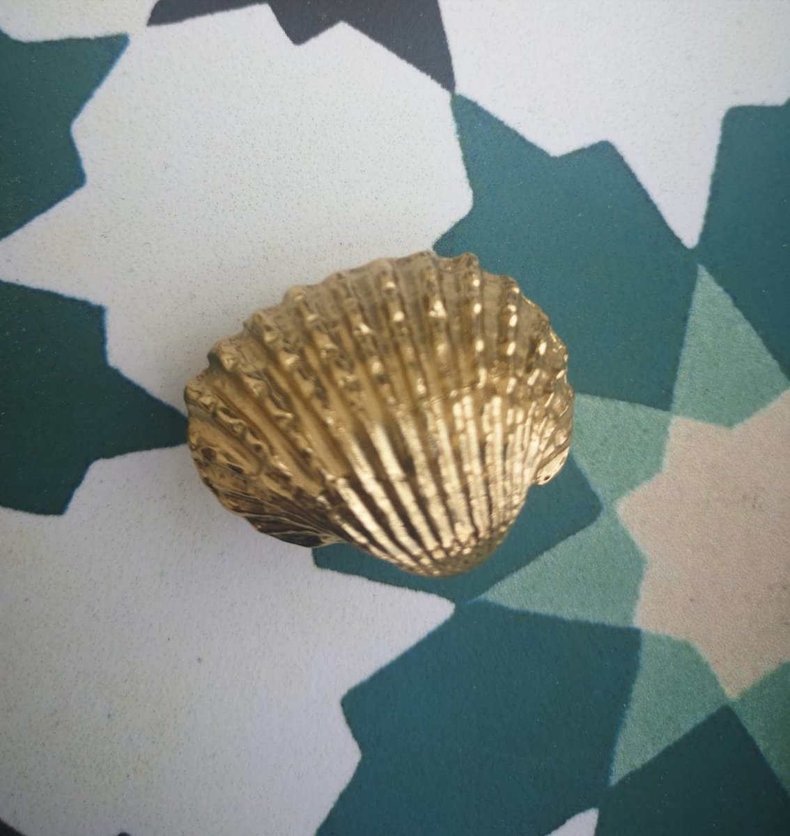 Solid brass realistic sea shell drawer handle/Gold clam shell cabinet handle/seaside themed door knob/beach decor/gold furniture hardware