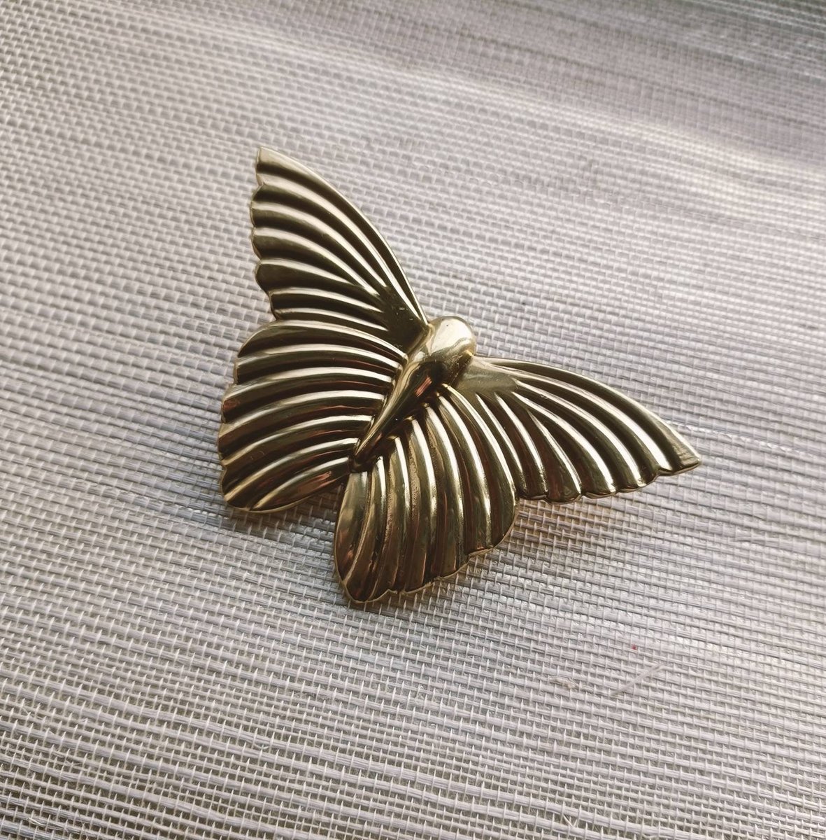 Shiny polished gold brass butterfly cabinet Pull/Gold butterfly door handle/Cute Butterfly drawer knob/Gold brass butterfly wardrobe handle