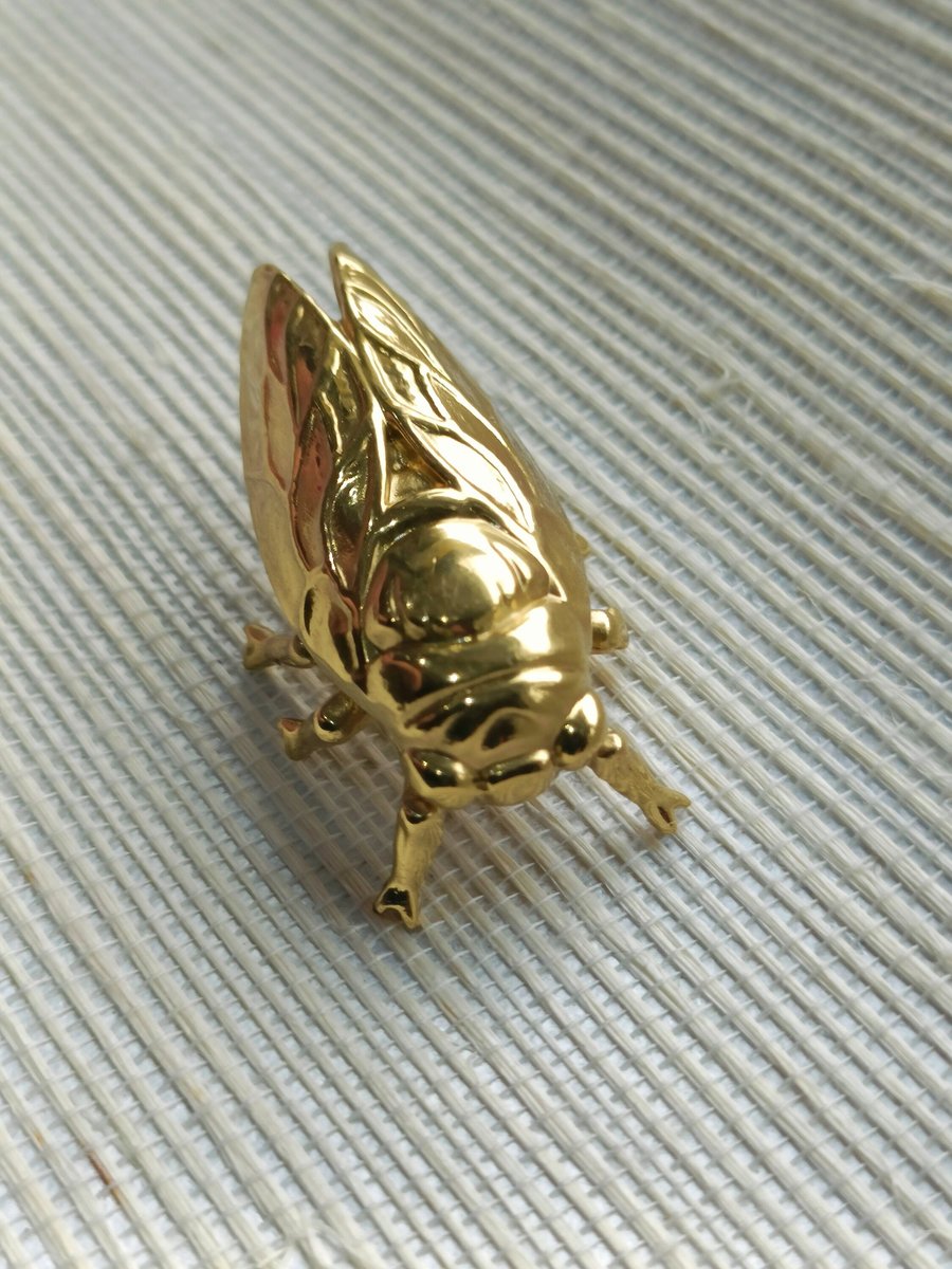 Shiny gold brass Insect cabinet pull/Beetle door handle/Gold bug drawer handle/Gold Cicada drawer knob/ Unique brass furniture hardware