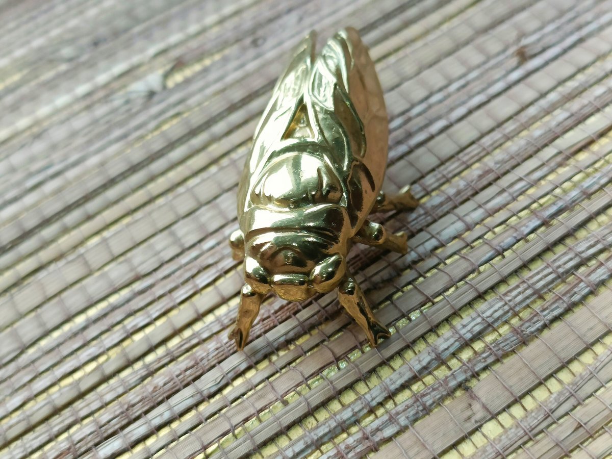 Shiny gold brass Insect cabinet pull/Beetle door handle/Gold bug drawer handle/Gold Cicada drawer knob/ Unique brass furniture hardware