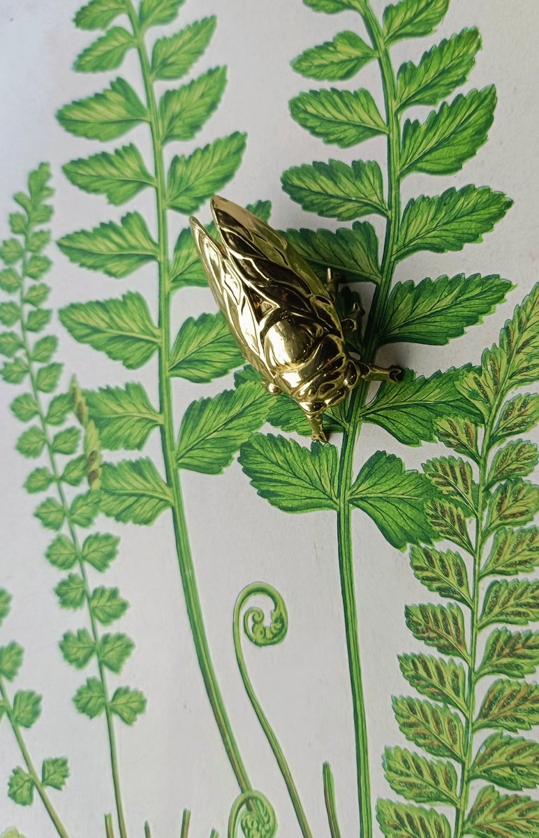 Shiny gold brass Insect cabinet pull/Beetle door handle/Gold bug drawer handle/Gold Cicada drawer knob/ Unique brass furniture hardware