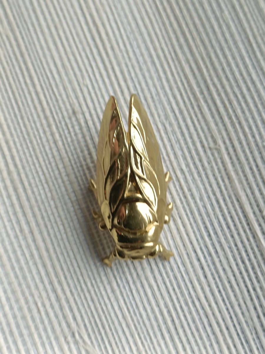 Shiny gold brass Insect cabinet pull/Beetle door handle/Gold bug drawer handle/Gold Cicada drawer knob/ Unique brass furniture hardware