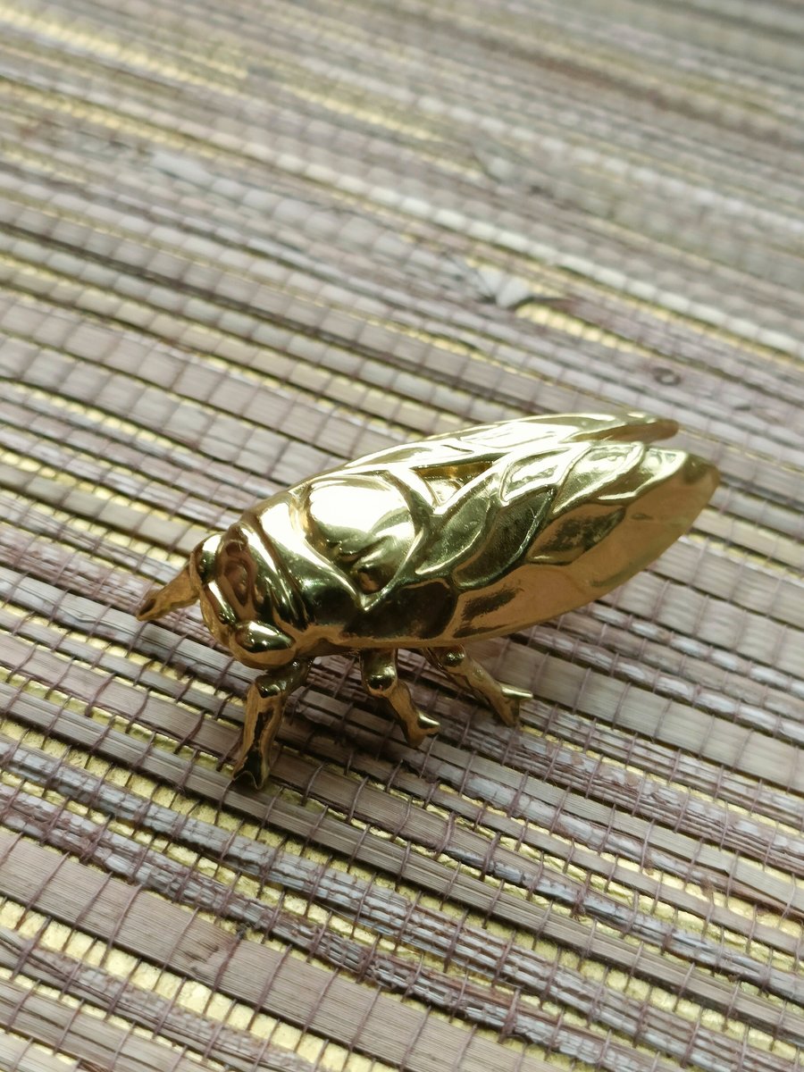 Shiny gold brass Insect cabinet pull/Beetle door handle/Gold bug drawer handle/Gold Cicada drawer knob/ Unique brass furniture hardware