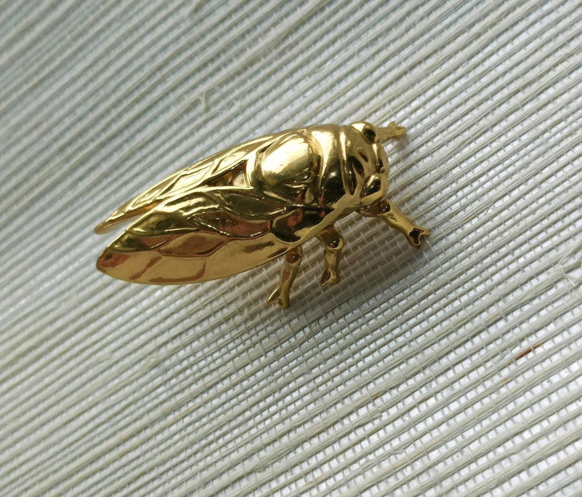 Shiny gold brass Insect cabinet pull/Beetle door handle/Gold bug drawer handle/Gold Cicada drawer knob/ Unique brass furniture hardware