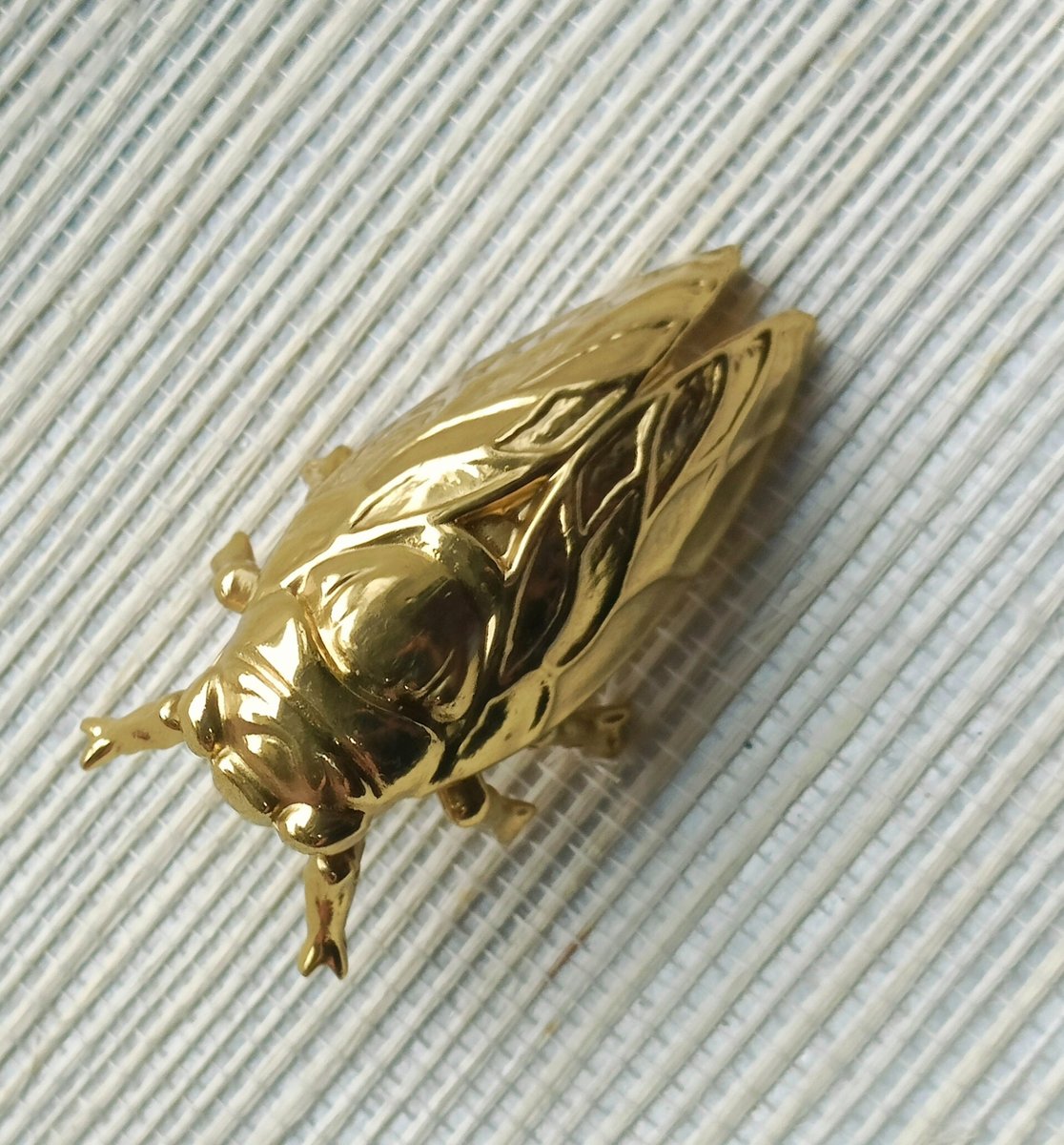 Shiny gold brass Insect cabinet pull/Beetle door handle/Gold bug drawer handle/Gold Cicada drawer knob/ Unique brass furniture hardware