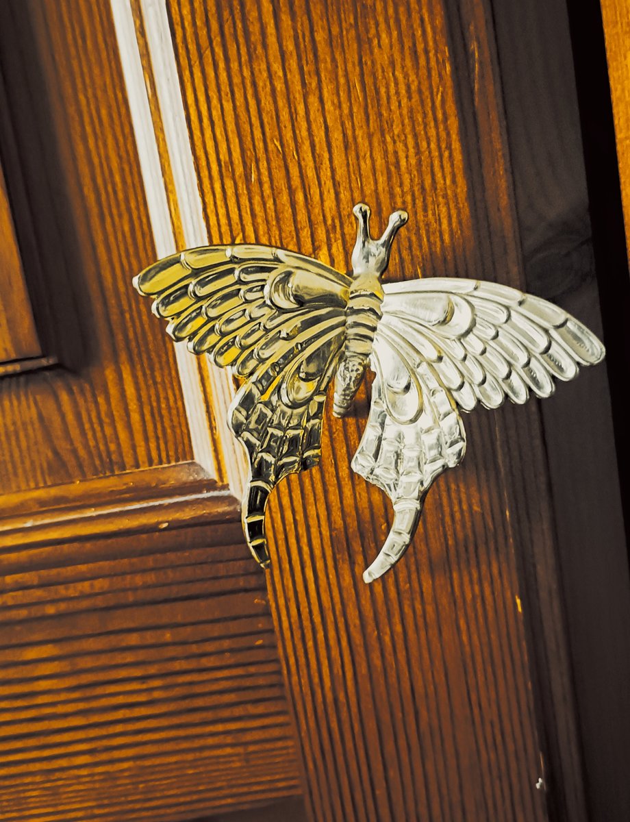 Gold Brass butterfly cabinet handle/Shiny gold moth cabinet pull/butterfly door handle/gold butterfly knob/Gold furniture hardware
