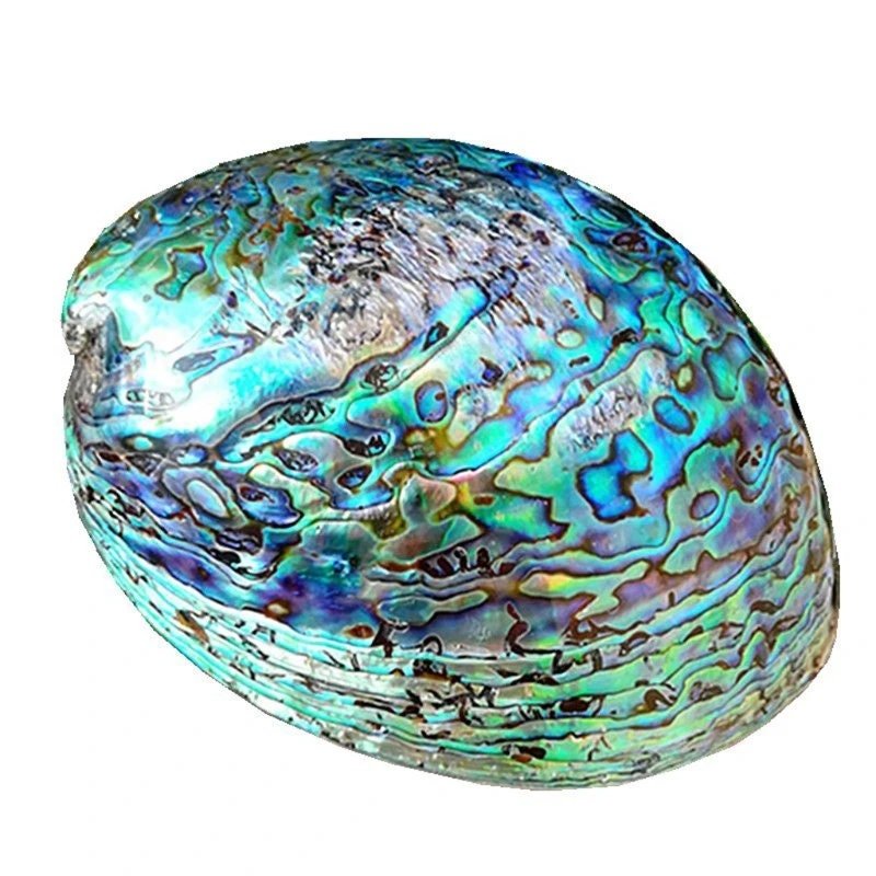 Checked rainbow mother of pearl drawer pull/pearl cabinet handle/pearl furniture hardware/Abalone shell cabinet pull/gold pearl door knob