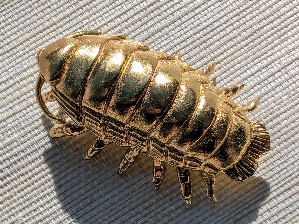 Large brass woodlouse cabinet pull/Isopod shaped Door Handle/Gold insect drawer knob/unique furniture hardware/Roly-polies door knob