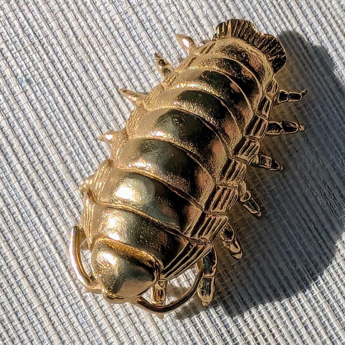 Large brass woodlouse cabinet pull/Isopod shaped Door Handle/Gold insect drawer knob/unique furniture hardware/Roly-polies door knob