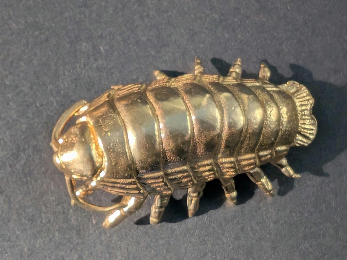 Large brass woodlouse cabinet pull/Isopod shaped Door Handle/Gold insect drawer knob/unique furniture hardware/Roly-polies door knob