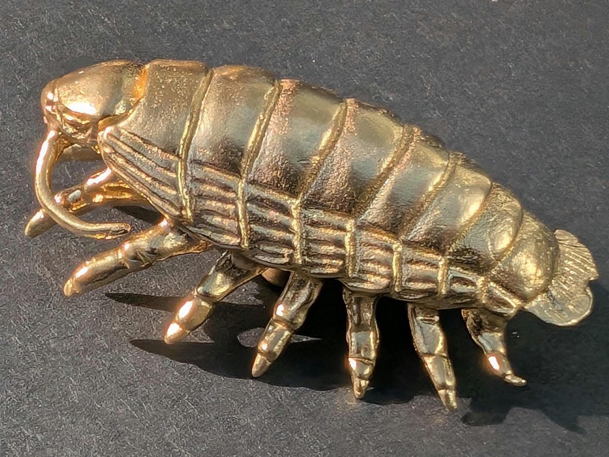 Large brass woodlouse cabinet pull/Isopod shaped Door Handle/Gold insect drawer knob/unique furniture hardware/Roly-polies door knob