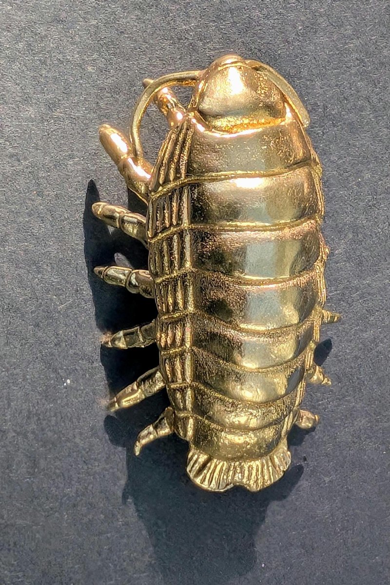Large brass woodlouse cabinet pull/Isopod shaped Door Handle/Gold insect drawer knob/unique furniture hardware/Roly-polies door knob