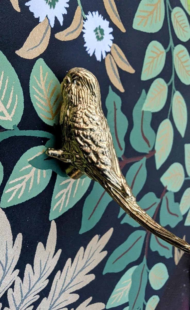Brass Budgie Cabinet Pull/Gold Brass Budgerigar Door Handle/Bird shaped drawer handle/gold furniture hardware/Parrot Cabinet Door Knob