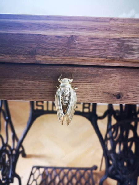 Gold brass cicada insect shaped cabinet pull/Insect door handle/Gold bug drawer handle/Brass beetle door knob/Unique gold furniture hardware
