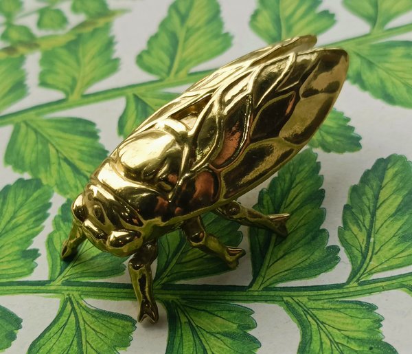 Shiny gold brass Insect cabinet pull/Beetle door handle/Gold bug drawer handle/Gold Cicada drawer knob/ Unique brass furniture hardware