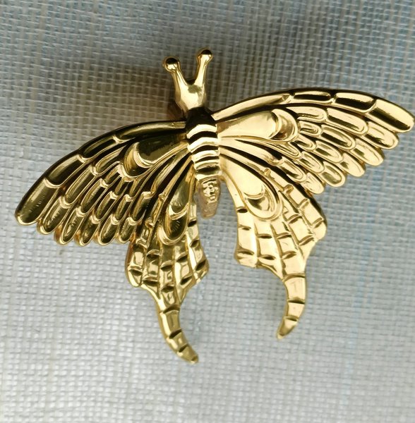 Gold Brass butterfly cabinet handle/Shiny gold moth cabinet pull/butterfly door handle/gold butterfly knob/Gold furniture hardware