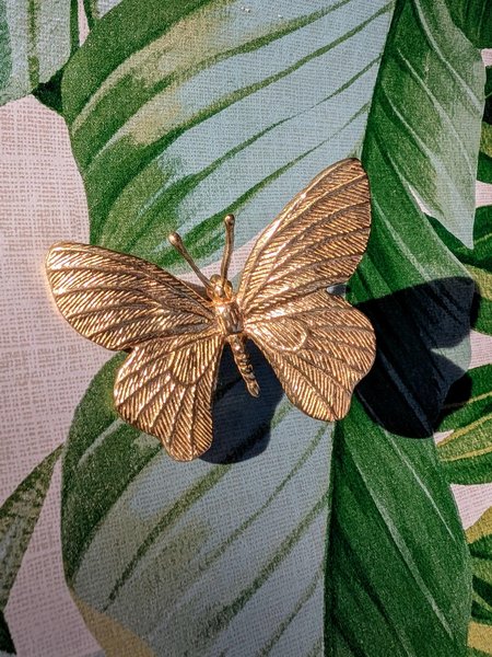 Gold brass butterfly cabinet handle/Realistic butterfly cabinet pull/Butterfly door handle/Gold butterfly door knob/Brass furniture hardware
