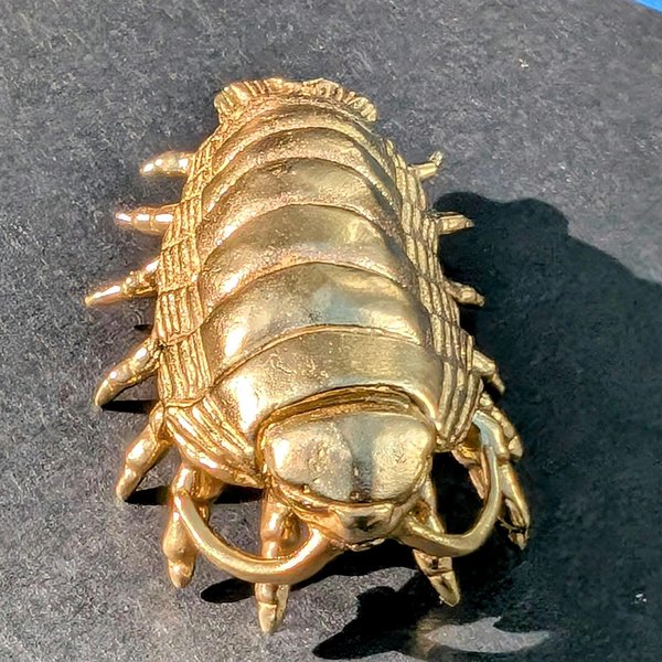 Large brass woodlouse cabinet pull/Isopod shaped Door Handle/Gold insect drawer knob/unique furniture hardware/Roly-polies door knob